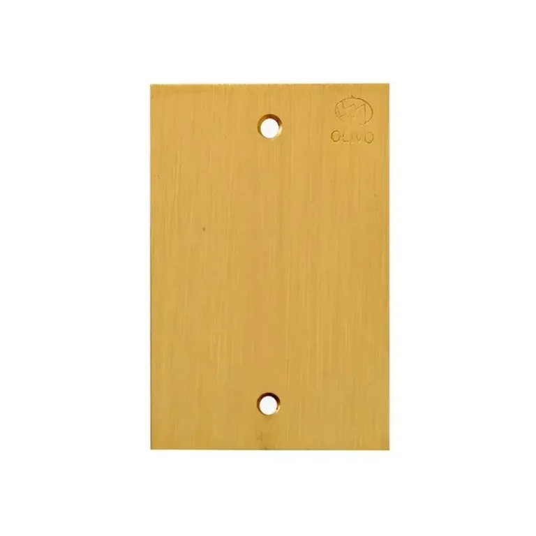 Placa Piso Leve 4x2 Latao Escovado Cega