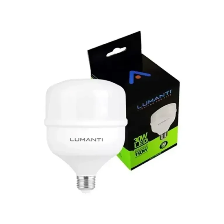 Lâmpada LED Bulbo T80 30W Autovolt 6500K E27